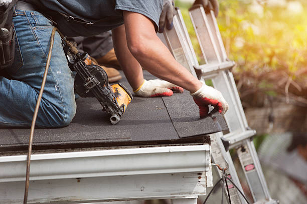 Best Shingle Roofing Installation  in Laurium, MI