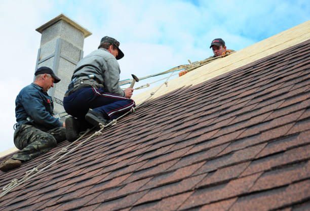 Best Emergency Roof Repair  in Laurium, MI